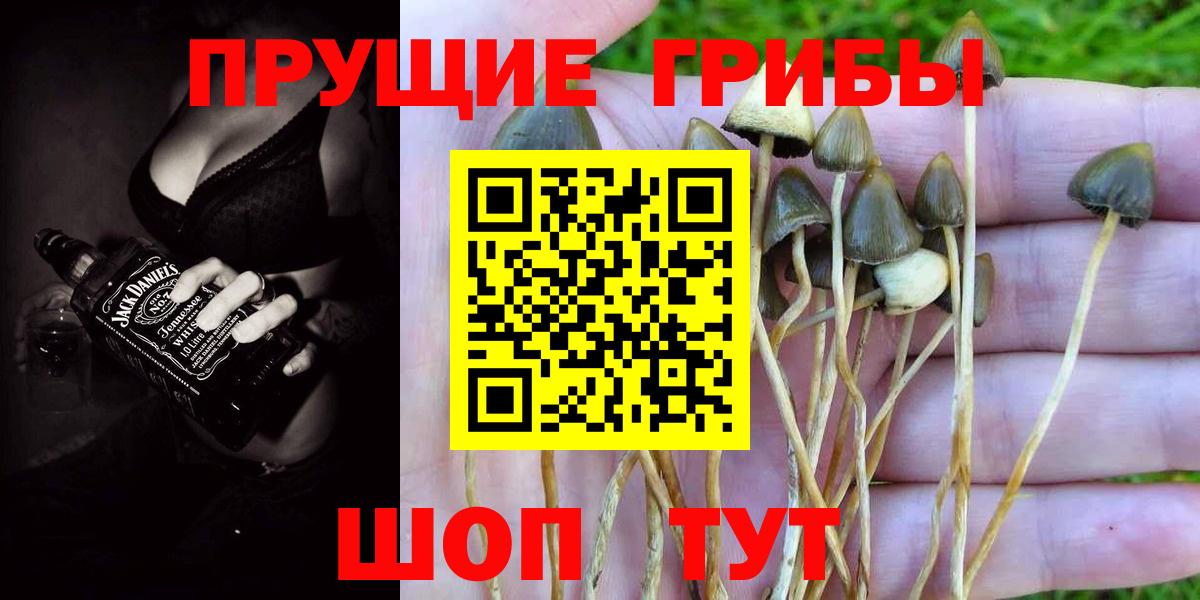 Галлюциногенные грибы мицелий  Галлюциногенные грибы прущие грибы  Вход с VPN  Артёмовский 