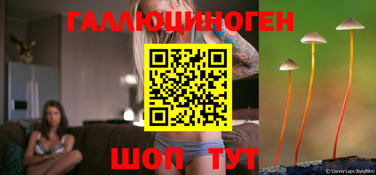 Галлюциногенные грибы мицелий  Артёмовский 